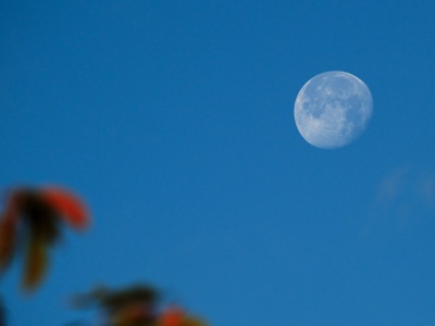 Waning gibbous Moon