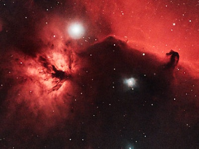 Horsehead and Flame Nebulae