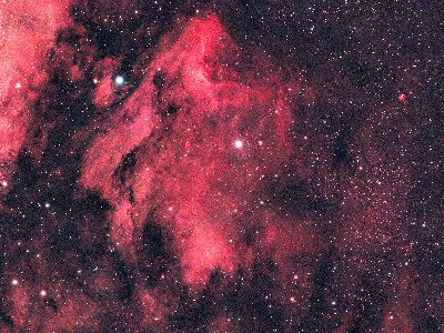 Pelican Nebula